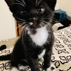 Meet your Posher, Lillian